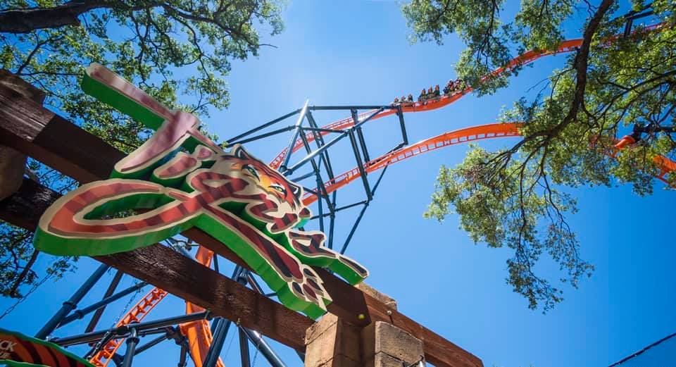 Tigris, Launch Coaster